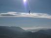 Paragliders