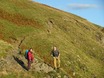 Scales Fell