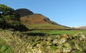 The Nab