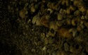 Catacombes