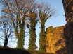Skipton Castle