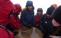Mount Snowdon