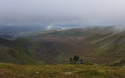 Regenboog
