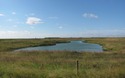 Kilnsea
