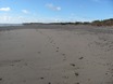 Noordzeestrand