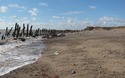 Noordzeestrand