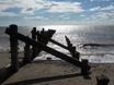 Noordzeestrand