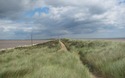 Spurn Head