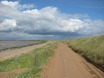 Spurn Head