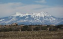 La Sal Mountains