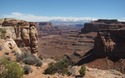Shafer Canyon
