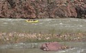 Rafting