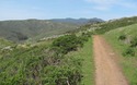Marin Headlands