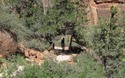 Angels Landing Trail