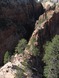 Angels Landing Trail ridge