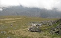 Net onder de wolken