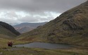 Styhead Tarn