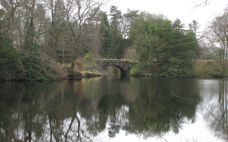 The Lake