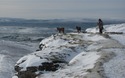 Honden op Pen-y-Ghent