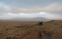 Pen-y-ghent in het namiddaglicht