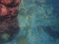 Calanque d'En-Vau