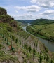 Mosel