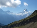 Bärglistock, Oberer Grindelwaldgletscher, Schreckhorn