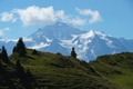 Jungfrau, Silberhorn