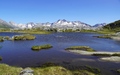 Grimselpass