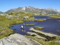 Grimselpass