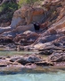 Plage de l'Estagnol: geitjes