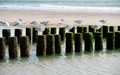 Strand Burgh Haamstede